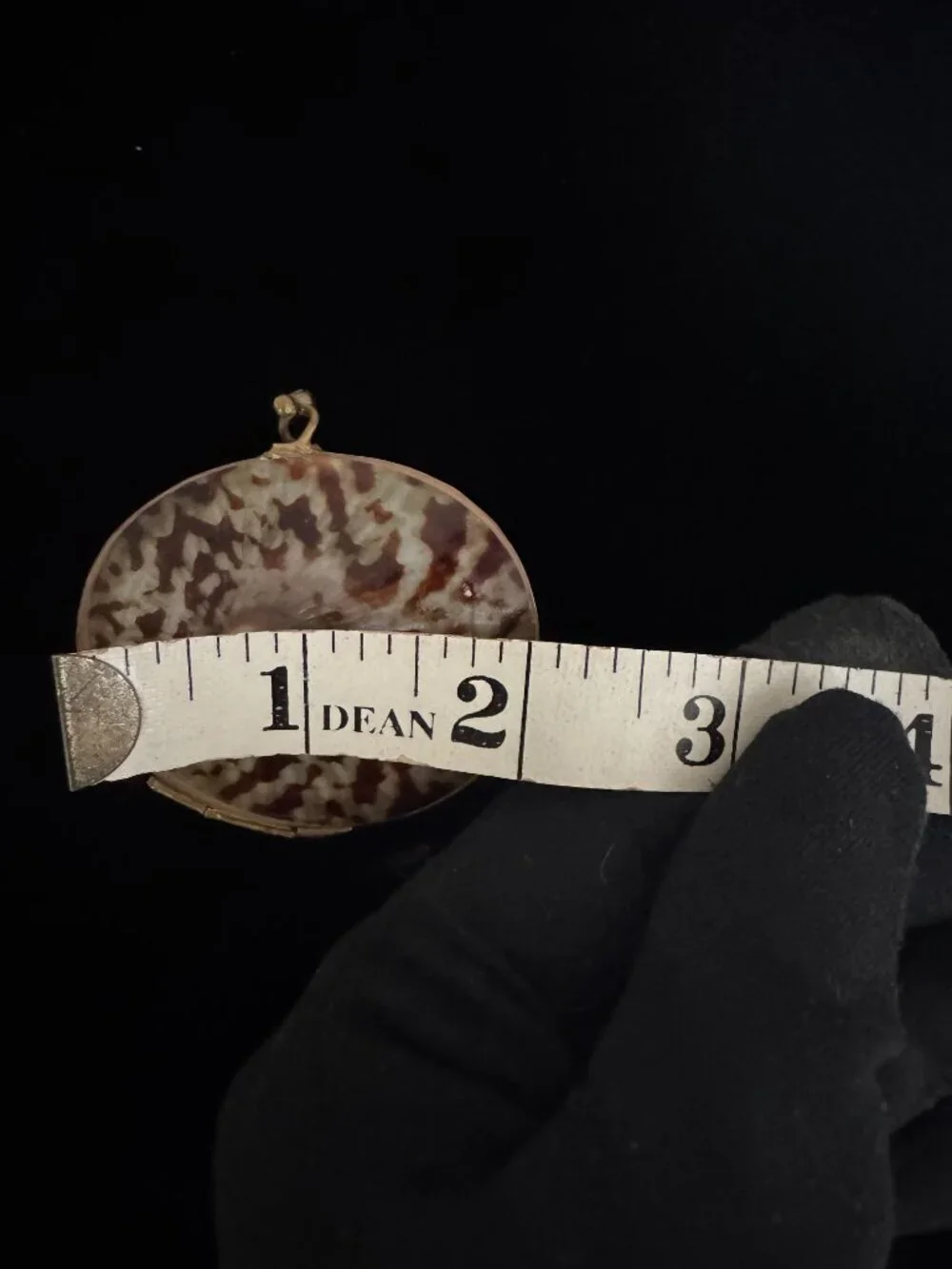 Shell trinket box with brass rim